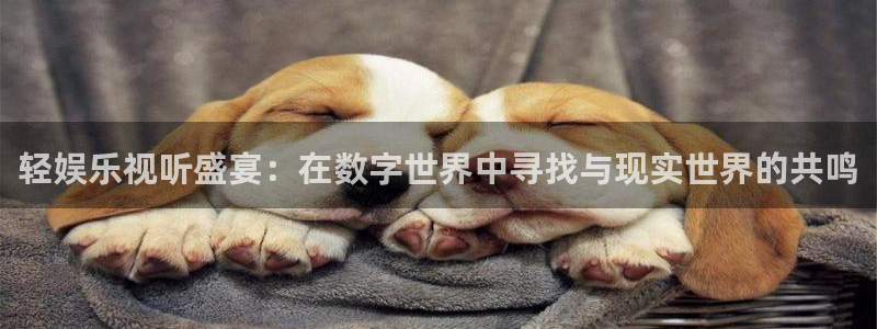 泰达娱乐环保：轻娱乐视听盛宴：在数字世界中寻找与现实世界的共鸣