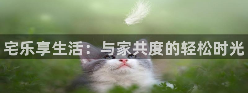 泰达娱乐分红代理计划：宅乐享生活：与家共度的轻松时光