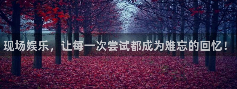 泰达娱乐游戏官网平台：现场娱乐，让每一次尝试都成为难忘的回忆！