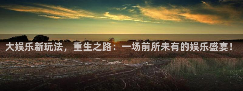 泰达娱乐.ccmpc29官网版下载：大娱乐新玩法，重生之路：一场前所未有的娱乐盛