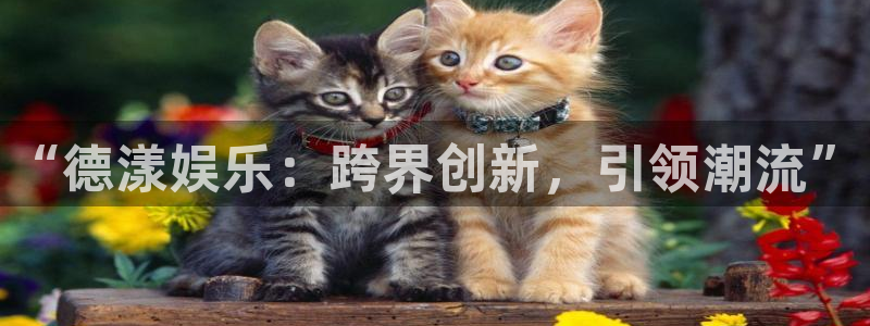泰达娱乐f凯捷注册：“德漾娱乐：跨界创新，引领潮流”