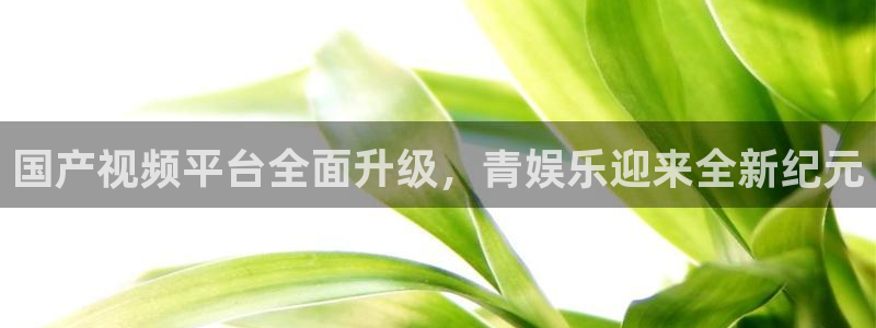 泰达娱乐凯捷注册：国产视频平台全面升级，青娱乐迎来全新纪元