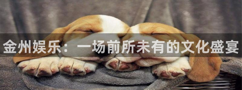 泰达娱乐平台官方入口：金州娱乐：一场前所未有的文化盛宴