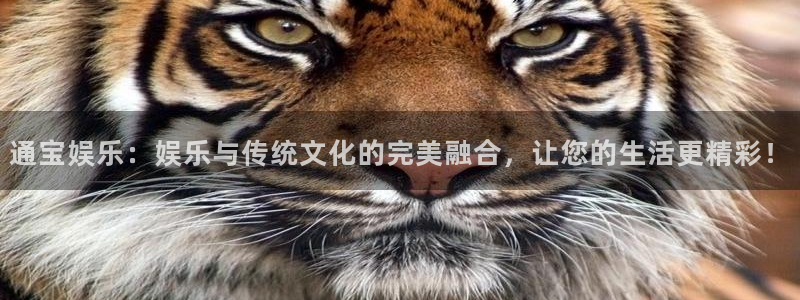 泰达娱乐平台管网入口：通宝娱乐：娱乐与传统文化的完美融合，让您的生活更精彩！