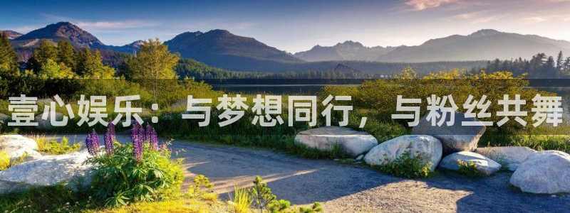 泰达娱乐下载并安装：壹心娱乐：与梦想同行，与粉丝共舞