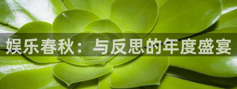 泰达娱乐注册登录入口：娱乐春秋：与反思的年度盛宴