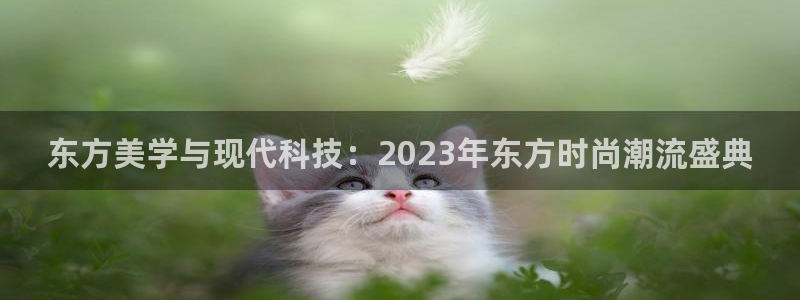 泰达娱乐游戏官网版：东方美学与现代科技：2023年东方时尚潮流盛典