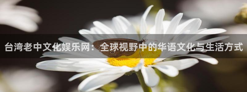 泰达娱乐登录网：台湾老中文化娱乐网：全球视野中的华语文化与生活方式