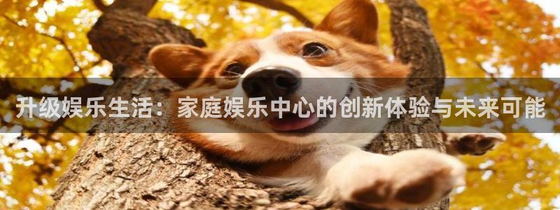 泰达娱乐体育注册平台：升级娱乐生活：家庭娱乐中心的创新体验与未来可能