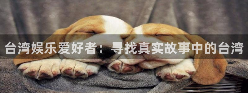 泰达娱乐官网：台湾娱乐爱好者：寻找真实故事中的台湾