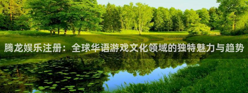 泰达娱乐4注册：腾龙娱乐注册：全球华语游戏文化领域的独特魅力与趋势