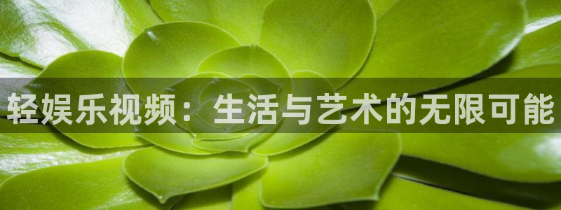 泰达娱乐招商：轻娱乐视频：生活与艺术的无限可能