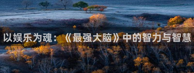 泰达娱乐平台在线开户：以娱乐为魂：《最强大脑》中的智力与智慧