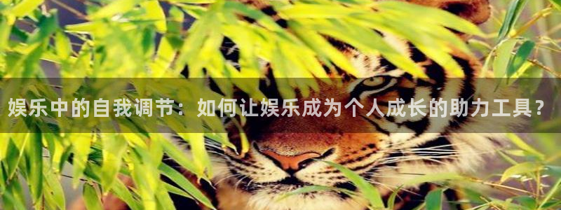 佛山市南海泰达娱乐机电仪器有限公司：娱乐中的自我调节：如何让娱乐成为个人成长的助