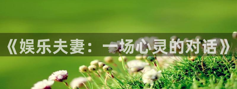 泰达娱乐官网注册：《娱乐夫妻：一场心灵的对话》