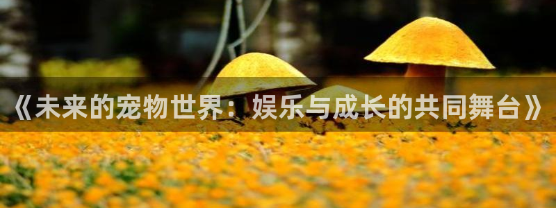 泰达娱乐平台官网登录入口：《未来的宠物世界：娱乐与成长的共同舞台》