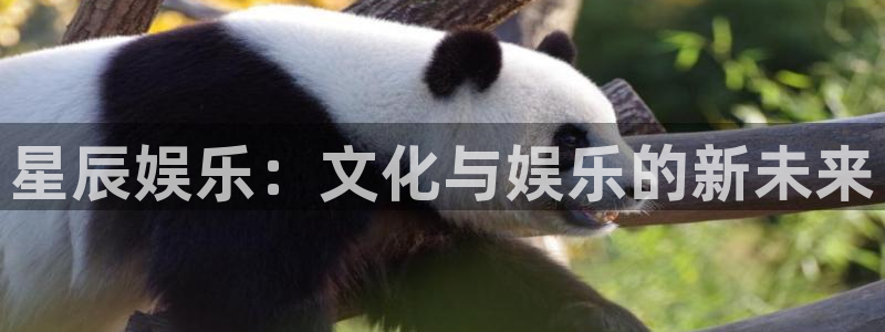 泰达娱乐注册登录入口：星辰娱乐：文化与娱乐的新未来
