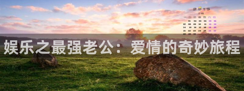 泰达娱乐2体育：娱乐之最强老公：爱情的奇妙旅程