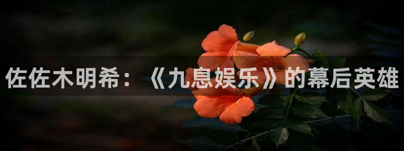 泰达娱乐ccm麻将胡了：佐佐木明希：《九息娱乐》的幕后英雄