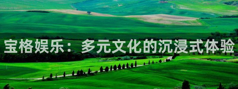 泰达娱乐2登录：宝格娱乐：多元文化的沉浸式体验