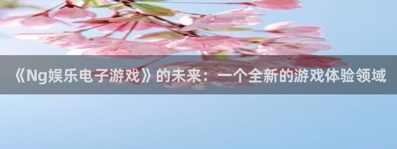 泰达娱乐.com：《Ng娱乐电子游戏》的未来：一个全新的游戏体验领域