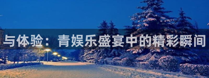 泰达娱乐路线1：与体验：青娱乐盛宴中的精彩瞬间
