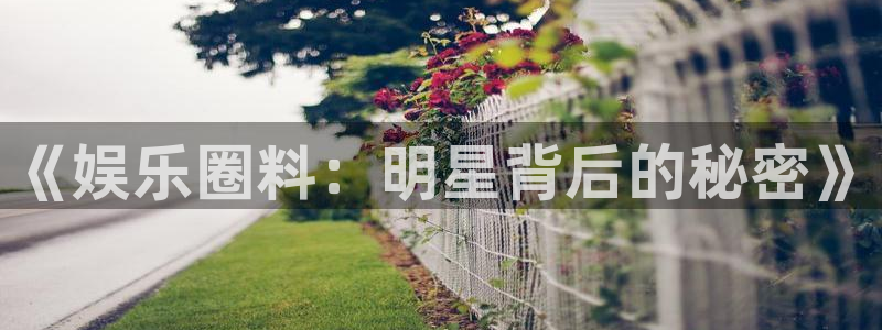 泰达娱乐.ccmpc正版官网版下载：《娱乐圈料：明星背后的秘密》