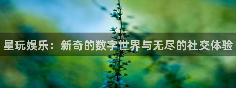 泰达娱乐官网下载：星玩娱乐：新奇的数字世界与无尽的社交体验