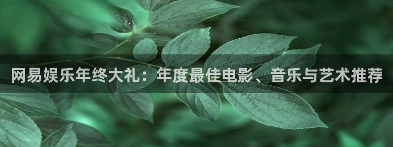 泰达娱乐pg电子游戏在线玩：网易娱乐年终大礼：年度最佳电影、音乐与艺术推荐