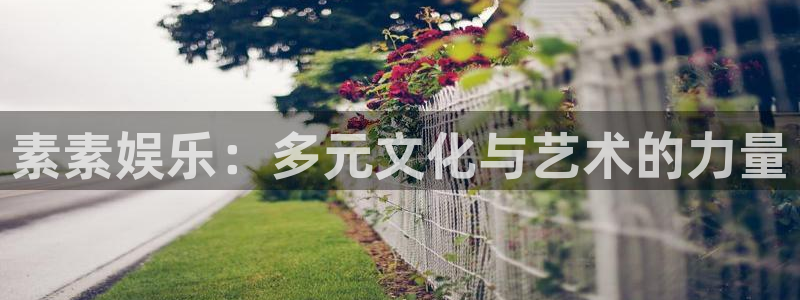 泰达娱乐体育注册登录入口：素素娱乐：多元文化与艺术的力量