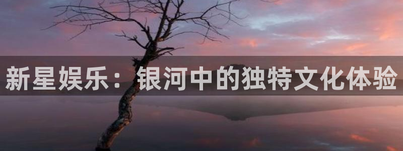 电子游戏泰达娱乐：新星娱乐：银河中的独特文化体验