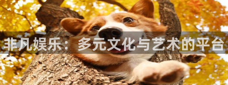 泰达娱乐体育平台登录入口：非凡娱乐：多元文化与艺术的平台