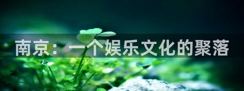 泰达娱乐体育代理申请流程：南京：一个娱乐文化的聚落