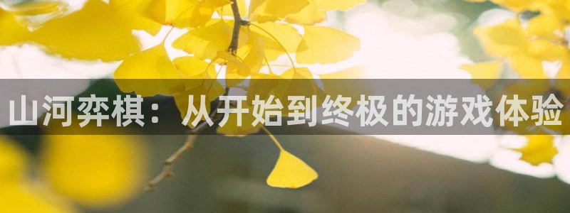 德国泰达娱乐集团：山河弈棋：从开始到终极的游戏体验
