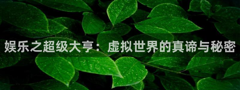 泰达娱乐平台官网版最新：娱乐之超级大亨：虚拟世界的真谛与秘密