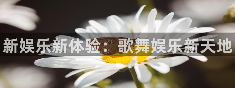 泰达娱乐那个爆率高：新娱乐新体验：歌舞娱乐新天地